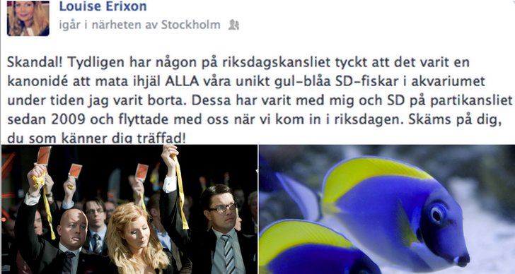 Jimmie Åkesson, Fiskar, Louise Erixon, Sverigedemokraterna